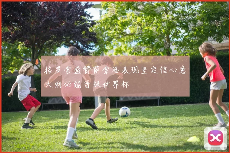 格罗索盛赞萨索洛表现坚定信心意大利必能晋级世界杯