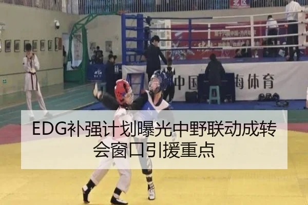EDG补强计划曝光中野联动成转会窗口引援重点 | aoasports